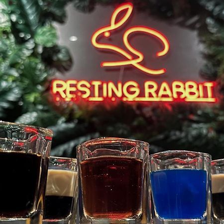 Resting Rabbit Hostel Đảo Đảo Siquijor Ngoại thất bức ảnh