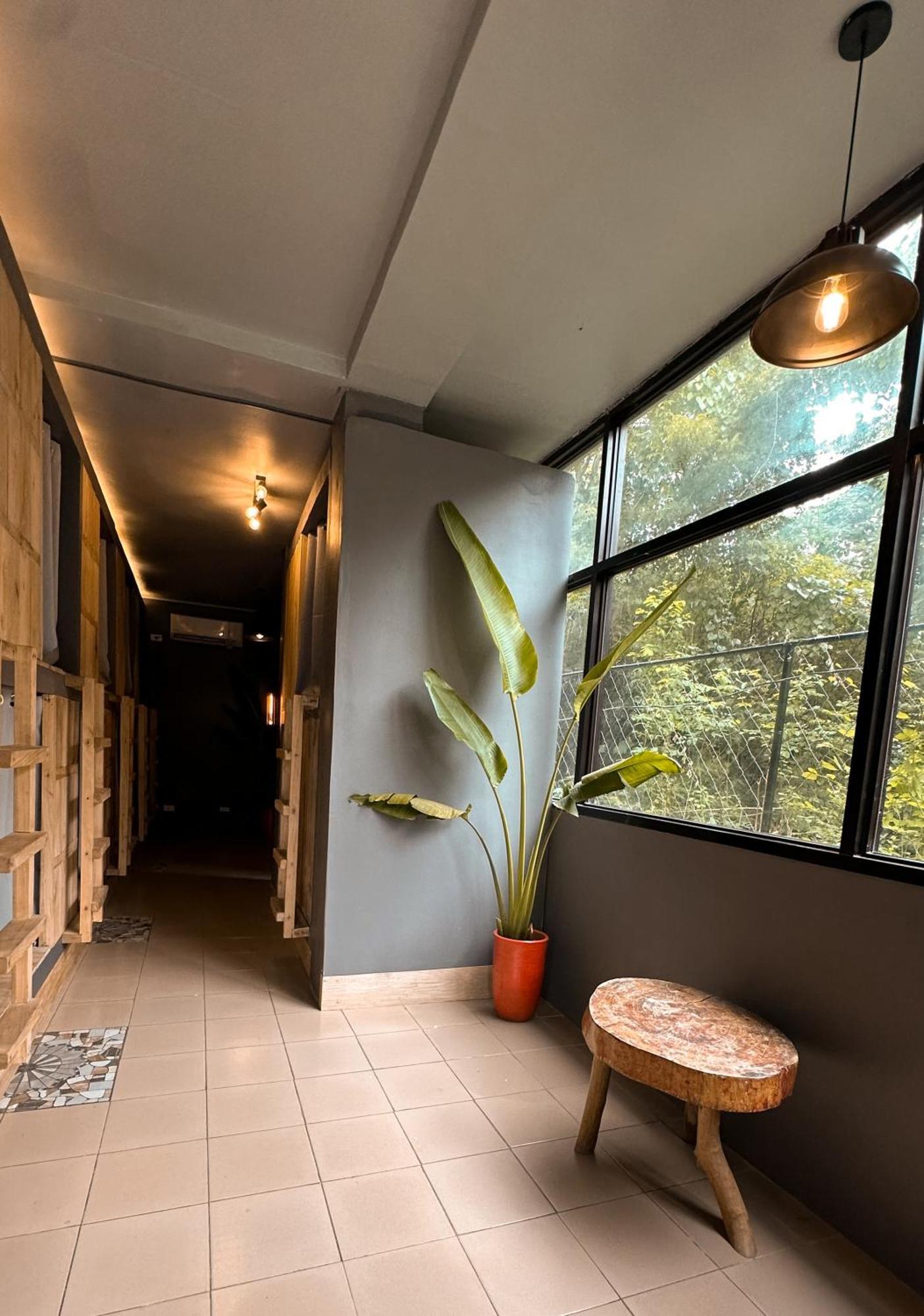 Resting Rabbit Hostel Đảo Đảo Siquijor Ngoại thất bức ảnh